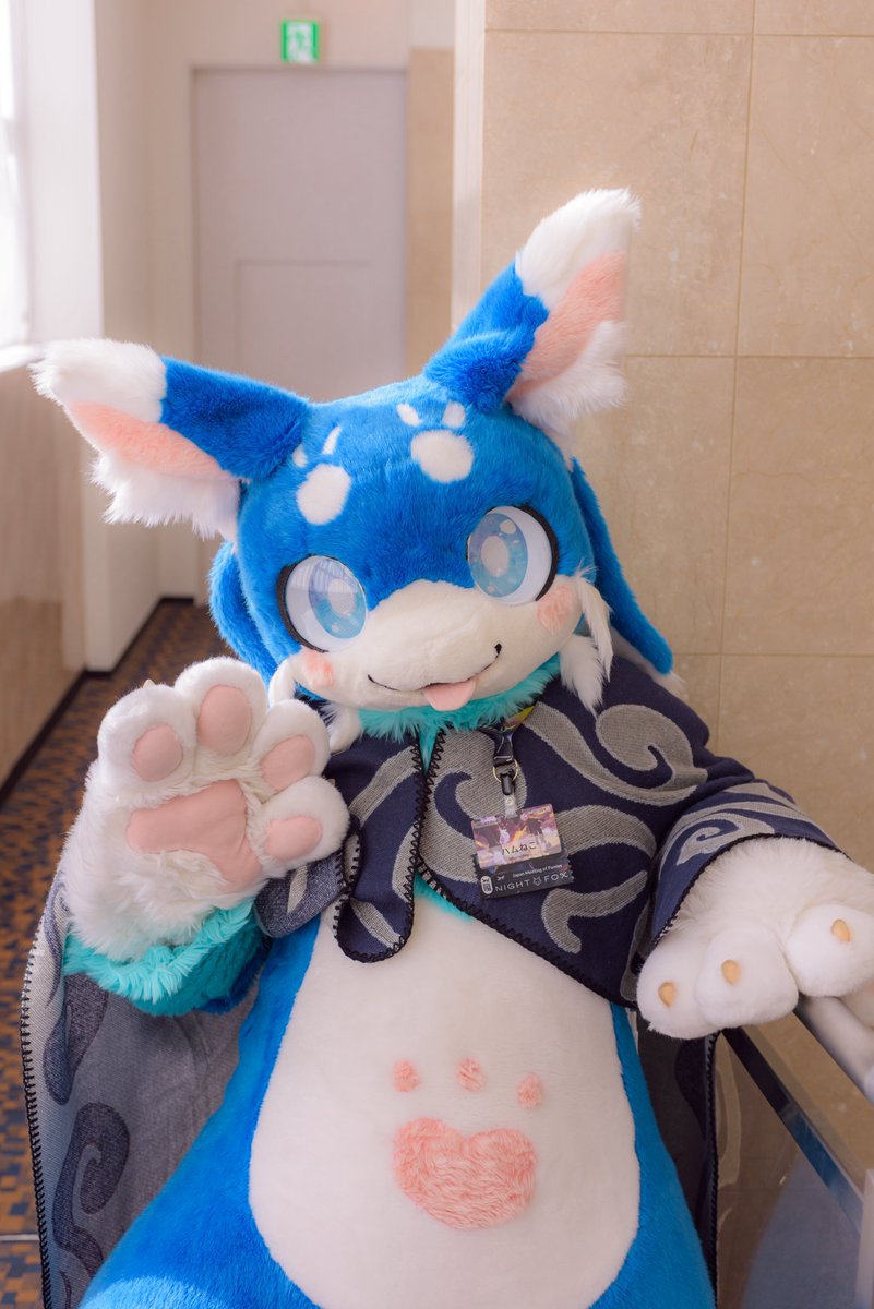 Post by ハムねこ🍣 on X: やさいどこ💪