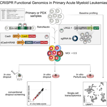 Molecular Cell tweet media