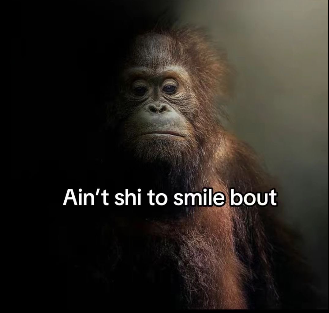 tony | fx tweet media