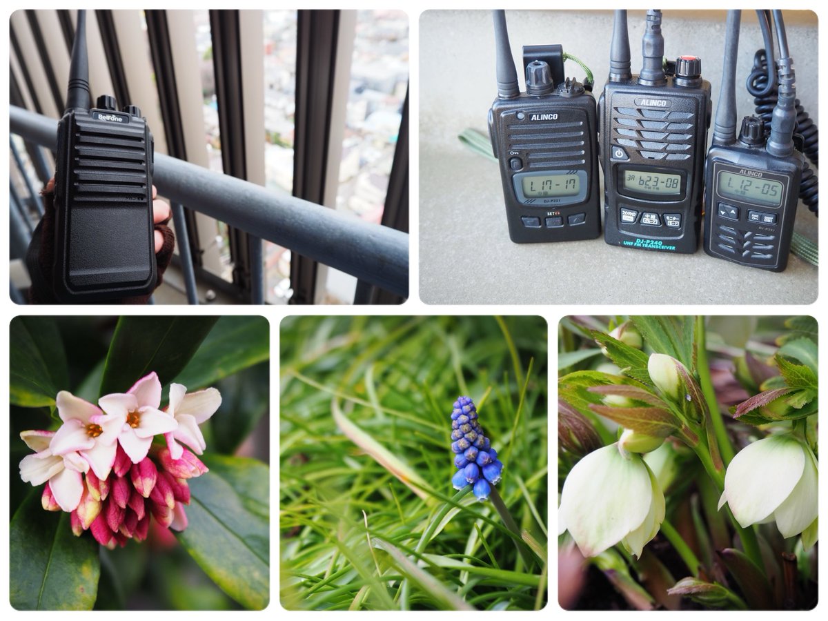 お疲れさまです♪今日のランチタイムは風が冷たかったです💦DMRの