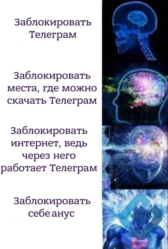 Лентач tweet media