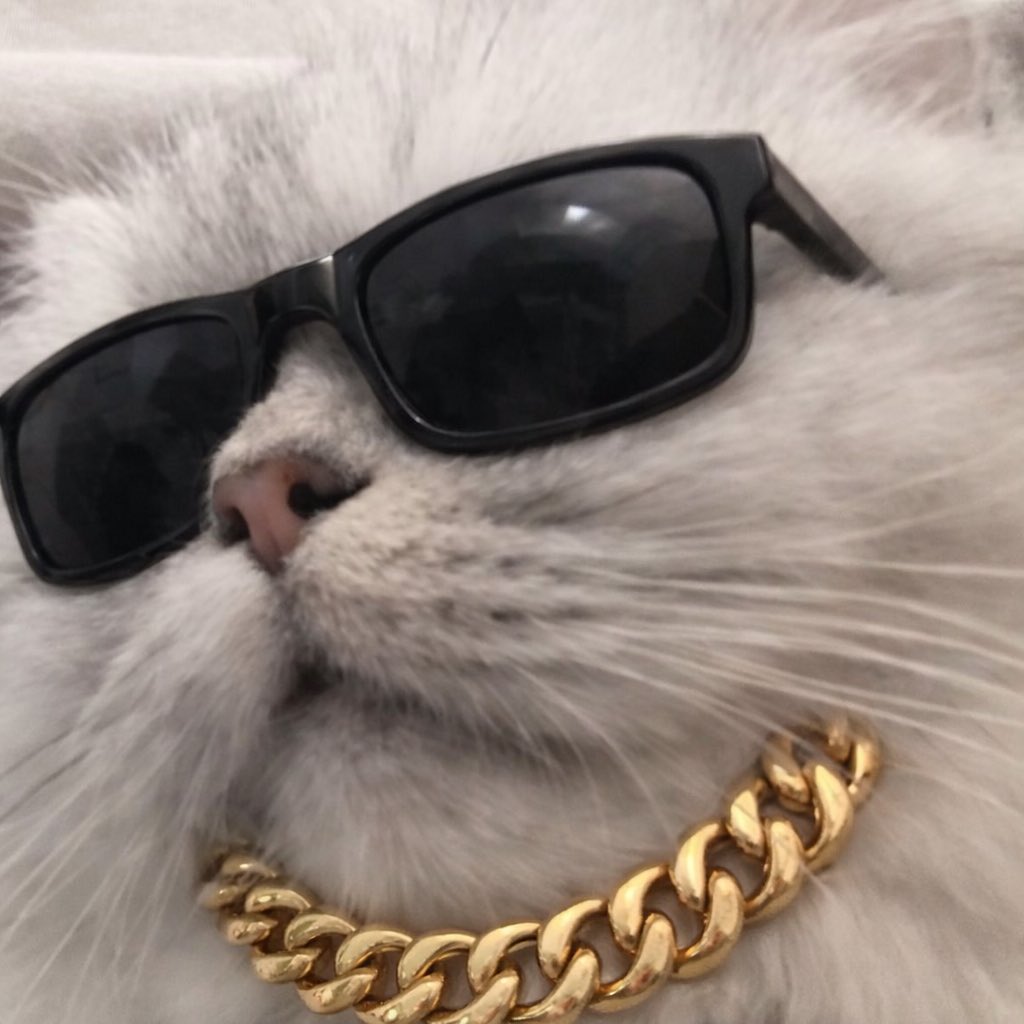 $Dumy is nervously and patiently waiting to reach 1 b mc.

#Dumycat

61awrUG7zWVVgtXrGWHQGEWEDejeRCNus9NyP8xBpump