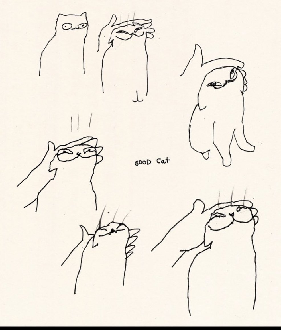 cats with powerful impression 🐾 tweet media