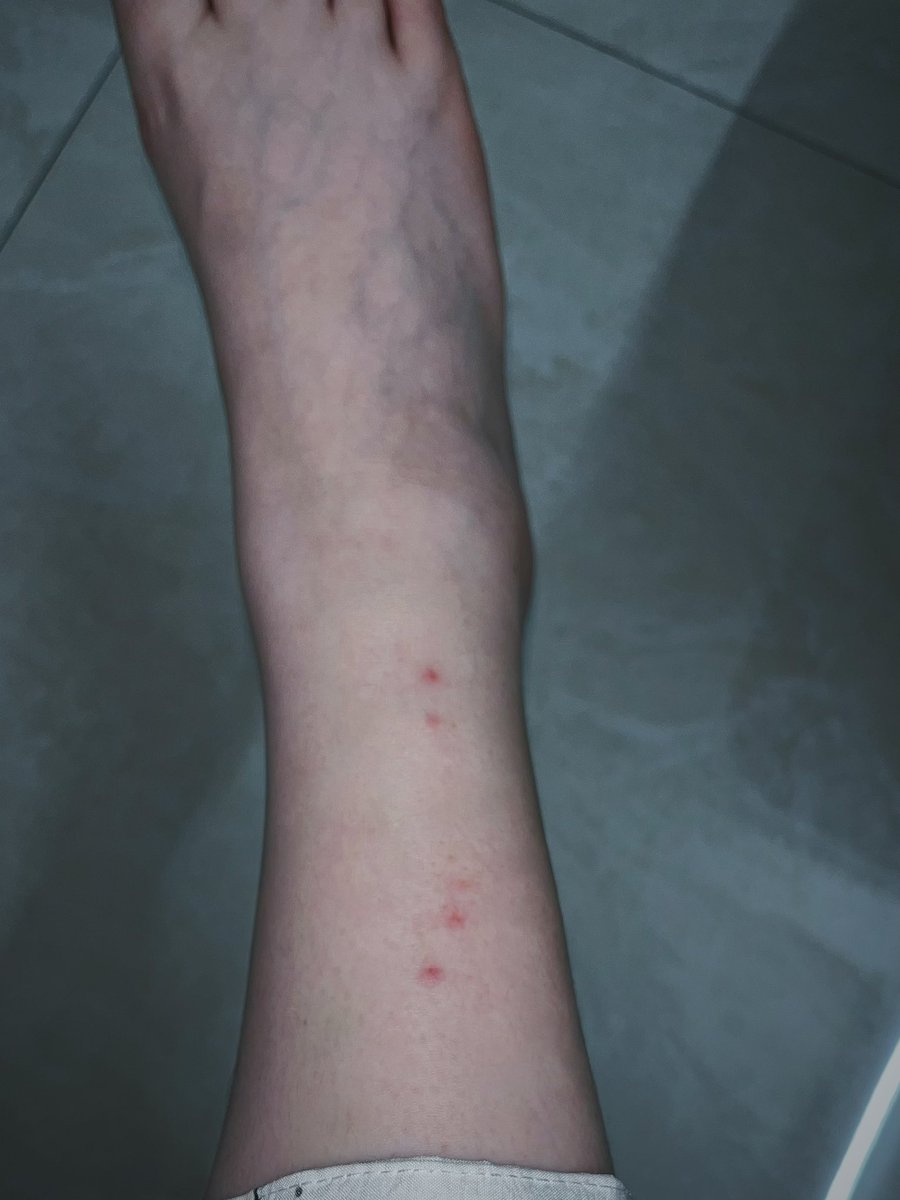 暴躁海后猛抽185男大嫩臀 tweet media