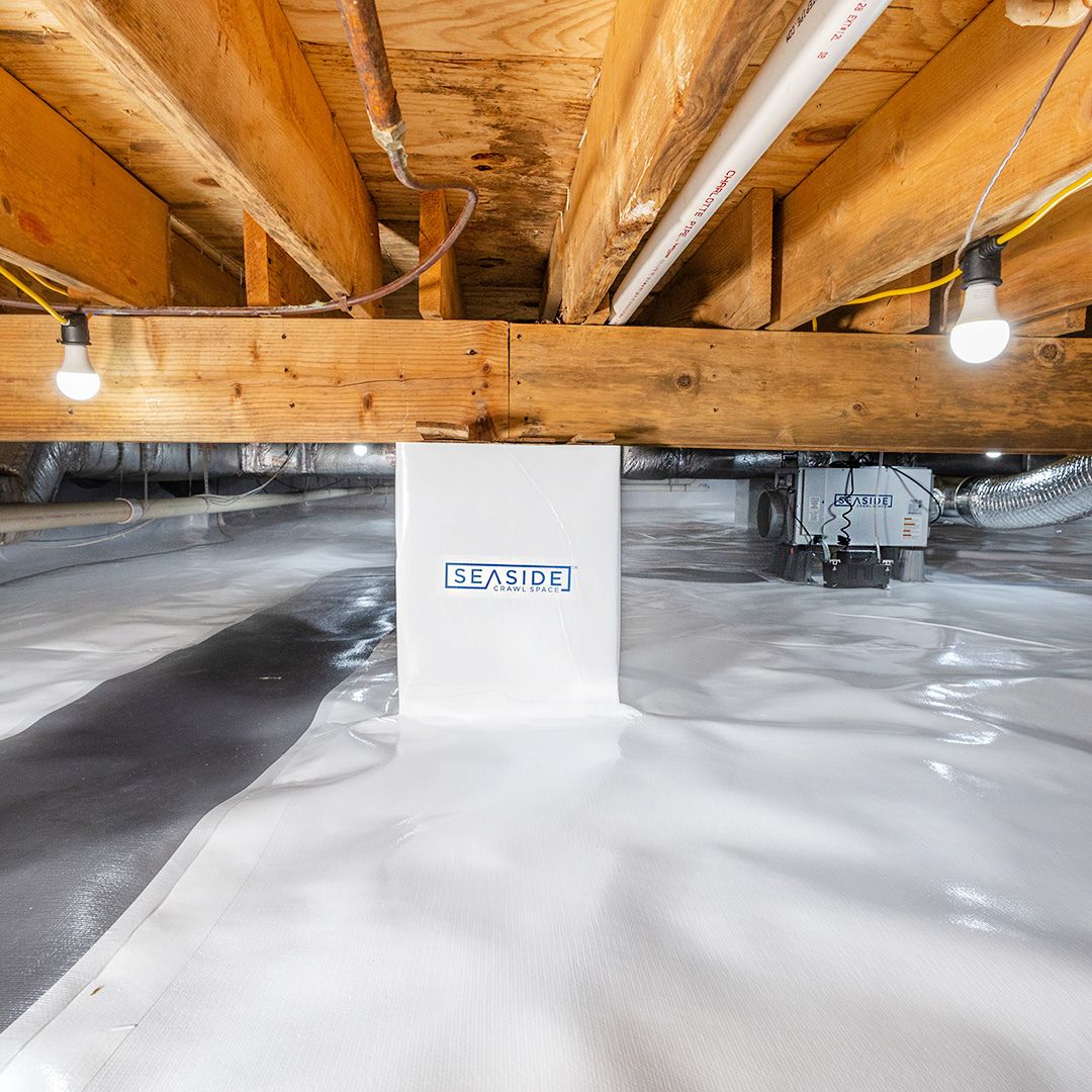 Seaside Crawl Space tweet media