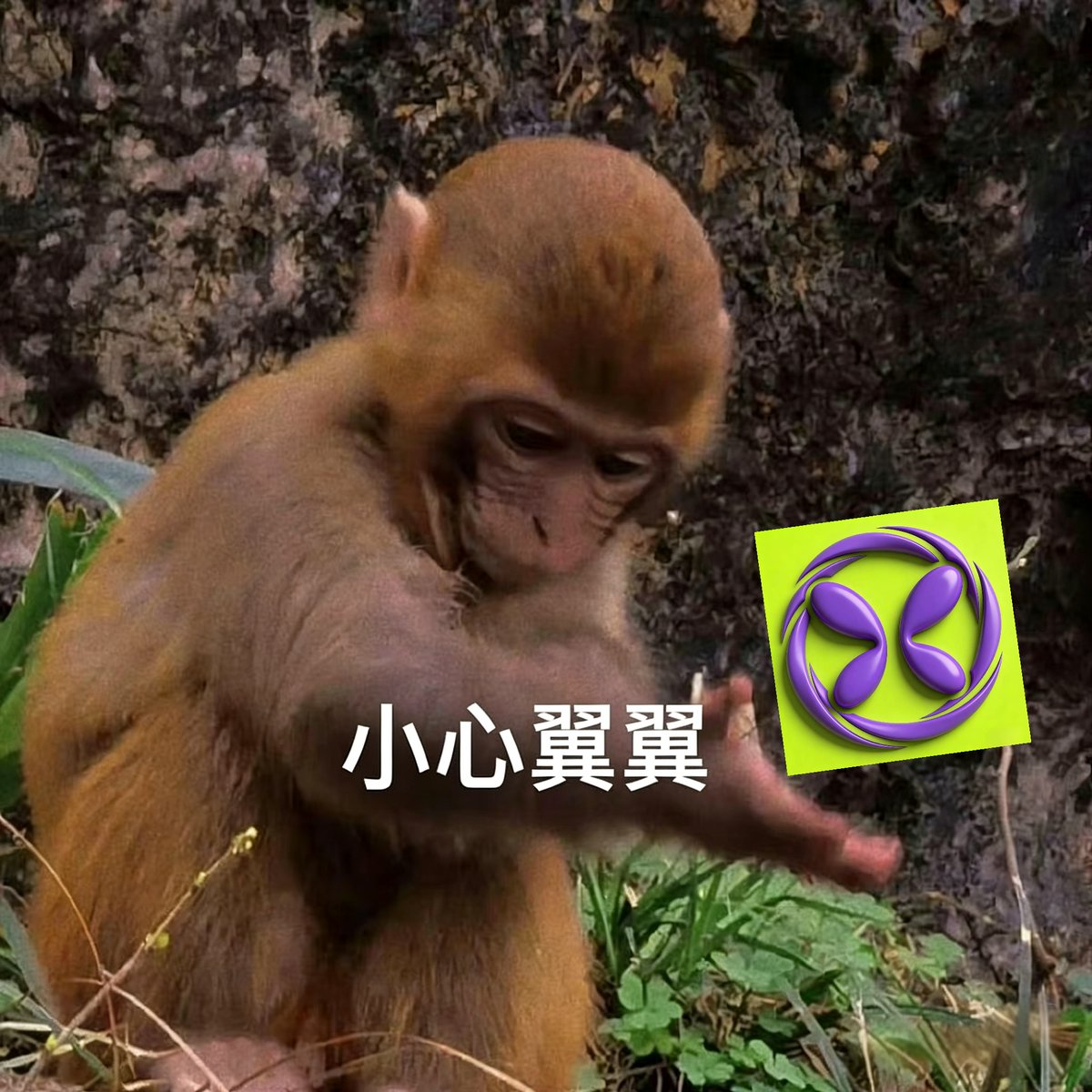 5天累计销毁：218541755.7714枚 #FlapVault

CA:0x69395fceca0d6b6529216df1fec8f3e7f25f7777