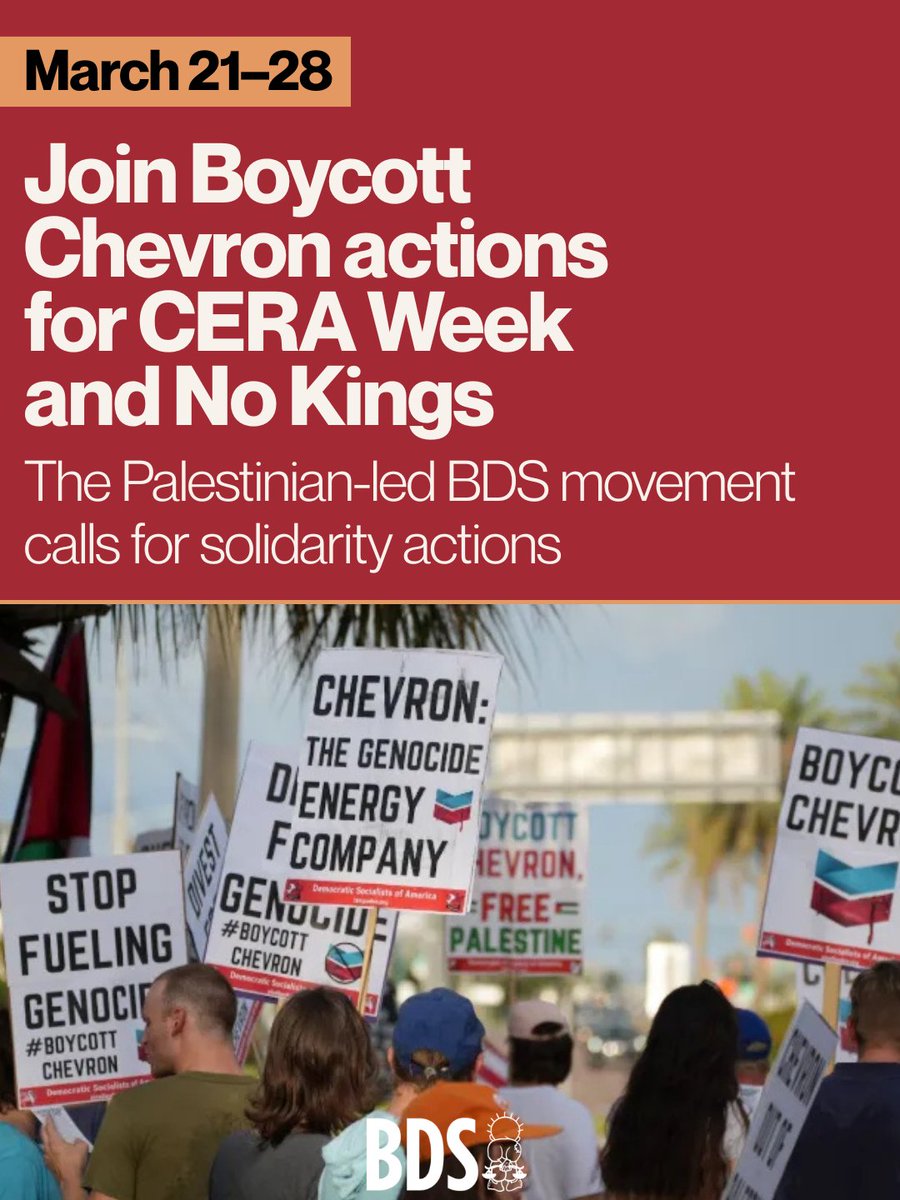 BDS movement tweet media