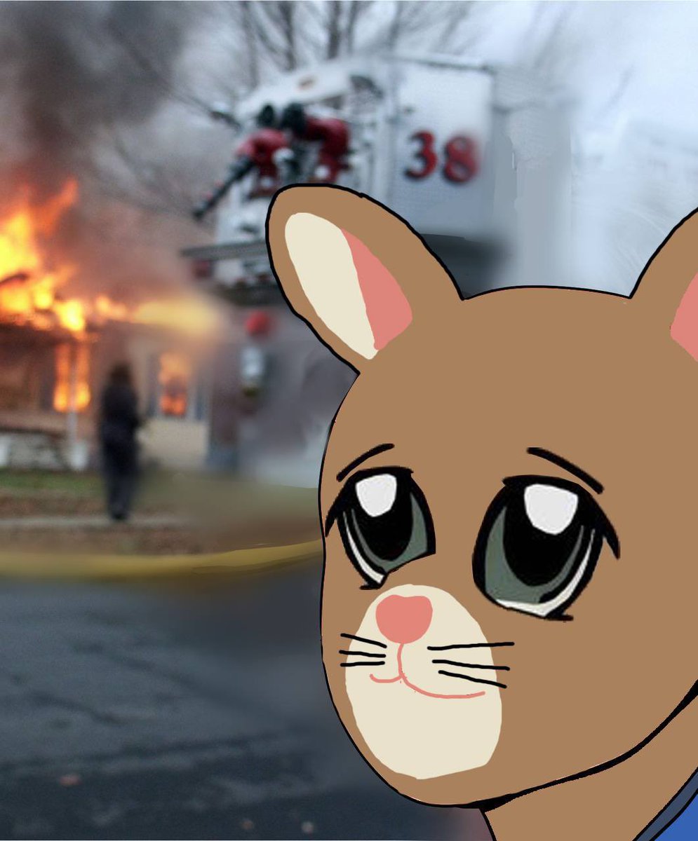 Digit Rabbits 🐰 tweet media