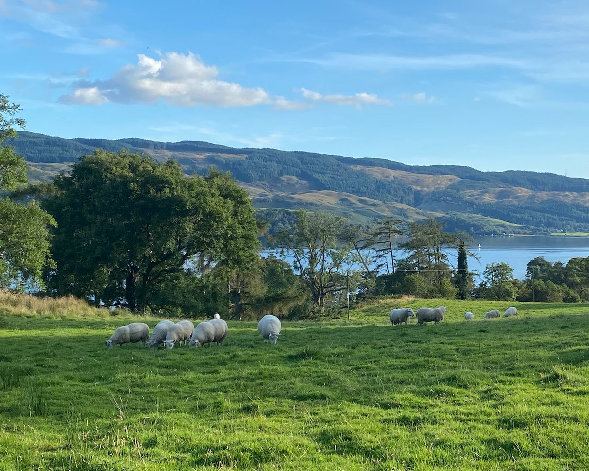 EmbraceScotland tweet media