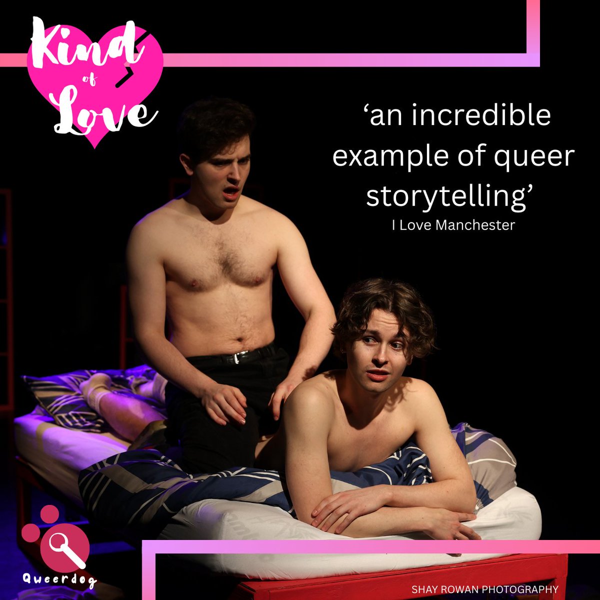 Qweerdog tweet media