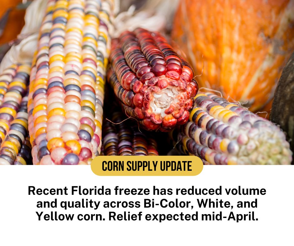 GC_Produce's tweet photo. Weather challenges have also impacted production in CA, AZ, and MX, with improvement anticipated in early April.

Current conditions:
• FL corn impacted across all varieties
• West Coast Bi-Color and White limited
• Yellow extremely limited

We are managing supply proactively. https://t.co/kME22bgWI5