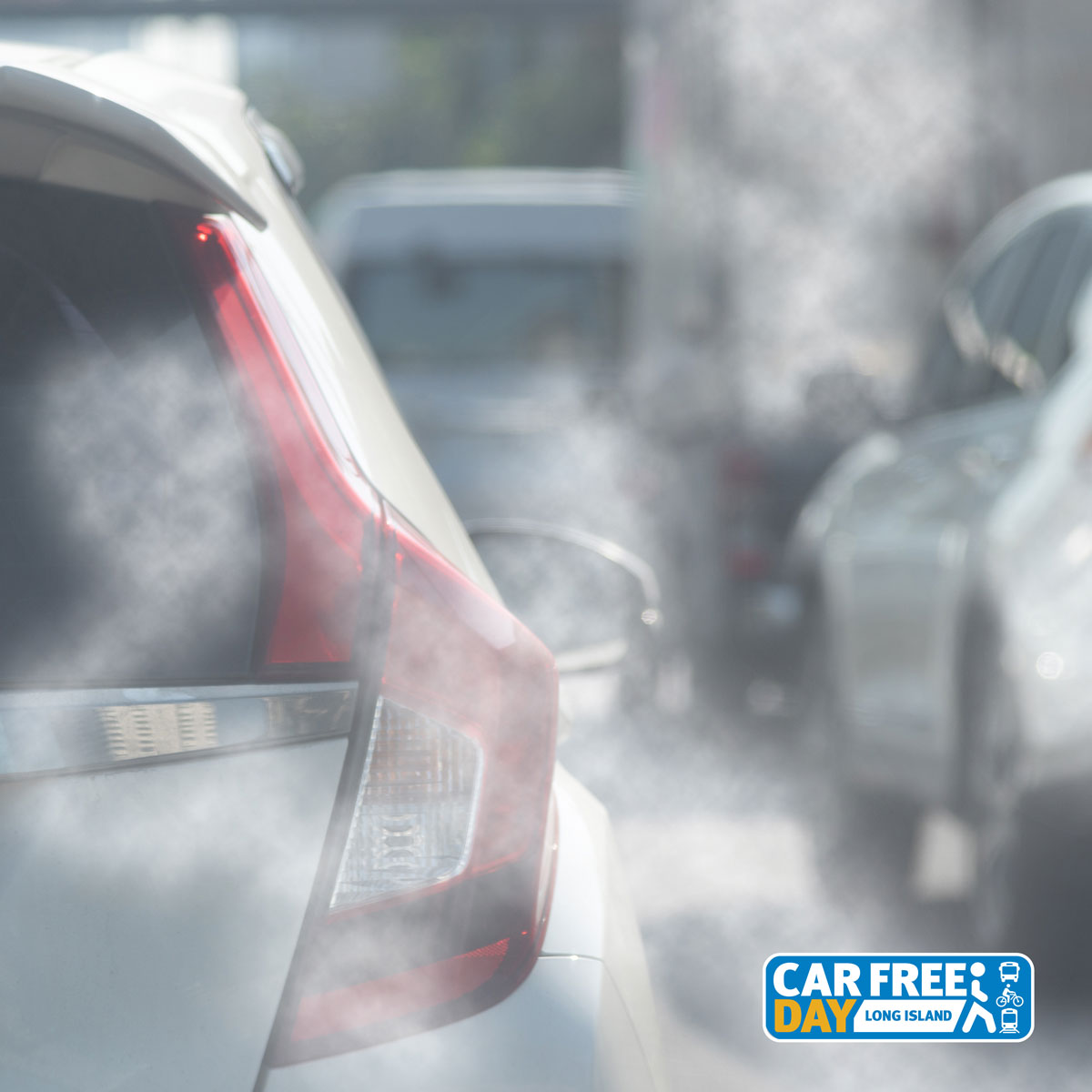 CarFreeDayLI tweet media