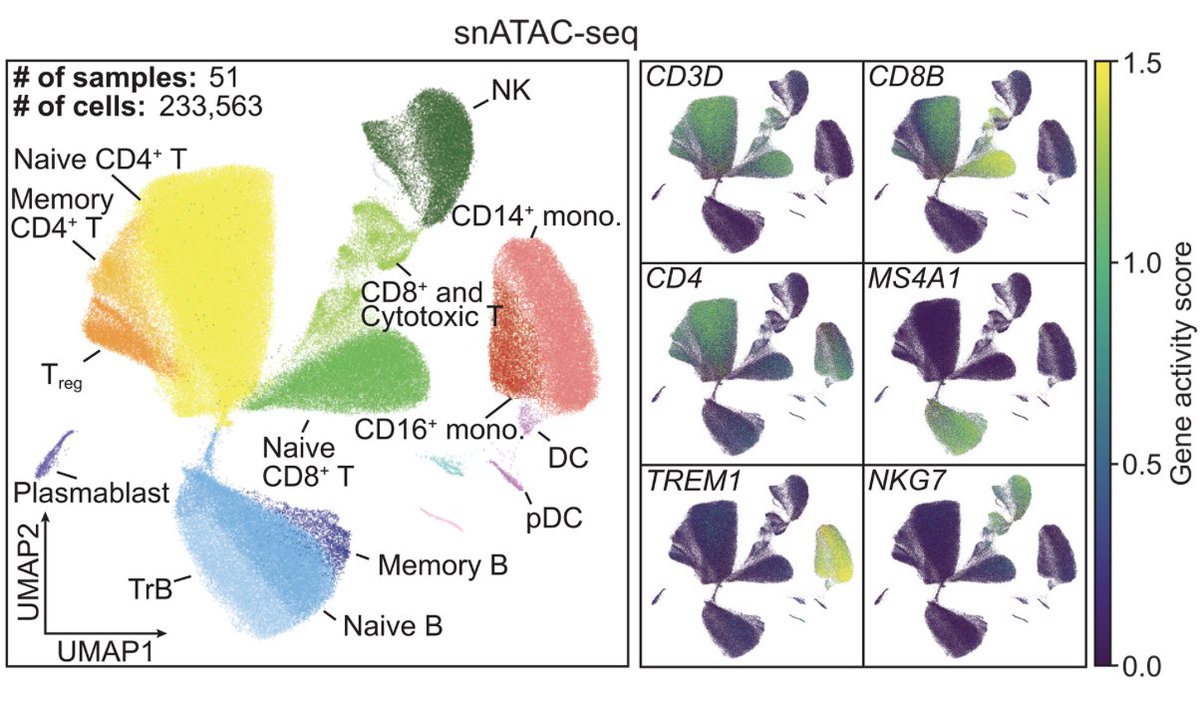 ScienceMagazine's tweet photo. Leveraging systems immunology, researchers characterize the distinct immunological profiles produced by #RSV and #SARSCoV2 infections in infants, providing data that explain clinical divergences and could inform future therapeutics. @ScienceTM https://t.co/nmtVcF7g6j https://t.co/vWBzsZNE3I