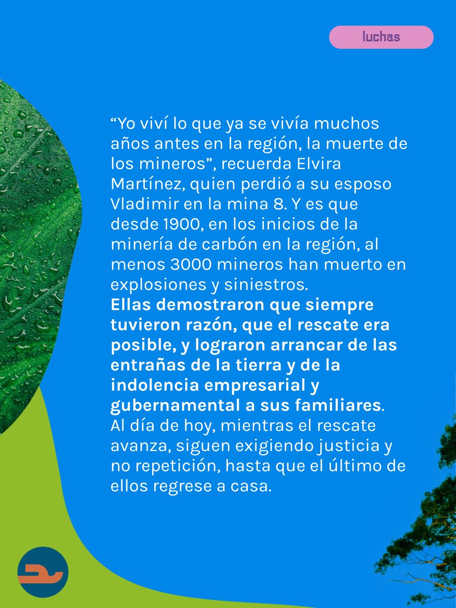 Ceiba_Periodismo tweet media