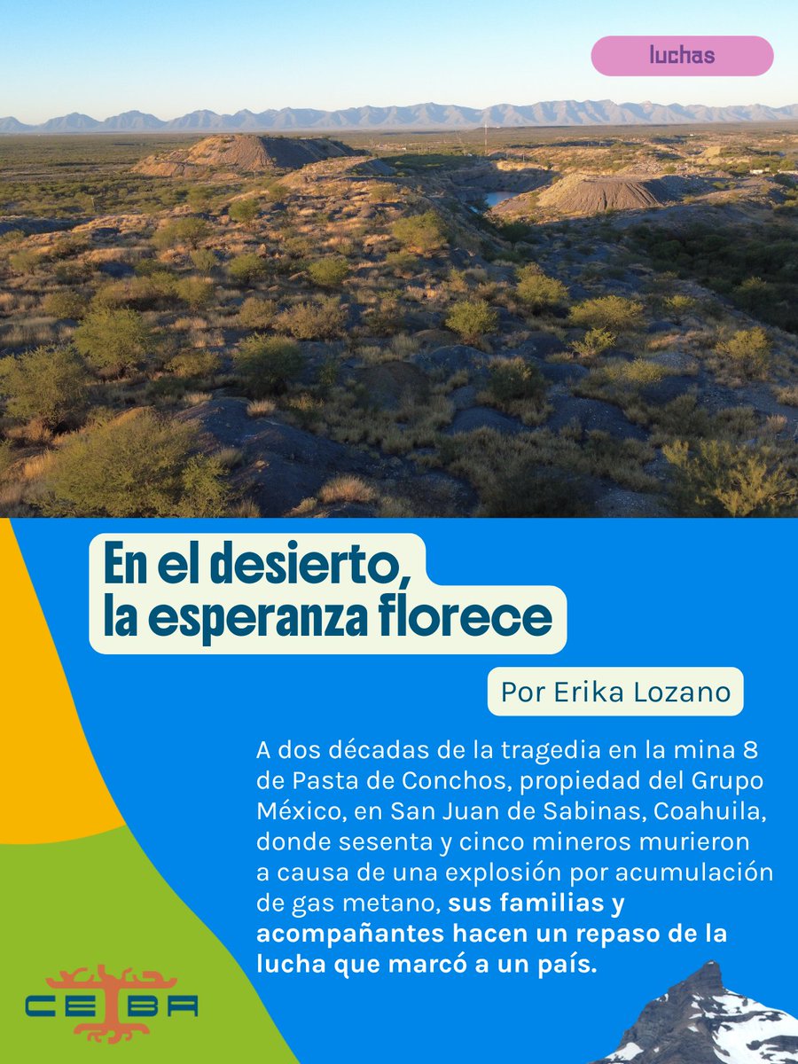 Ceiba_Periodismo tweet media