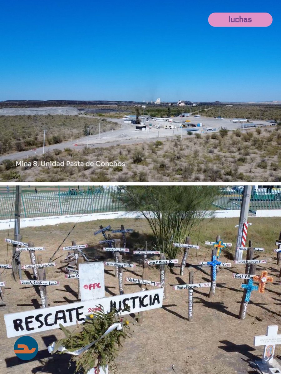 Ceiba_Periodismo tweet media