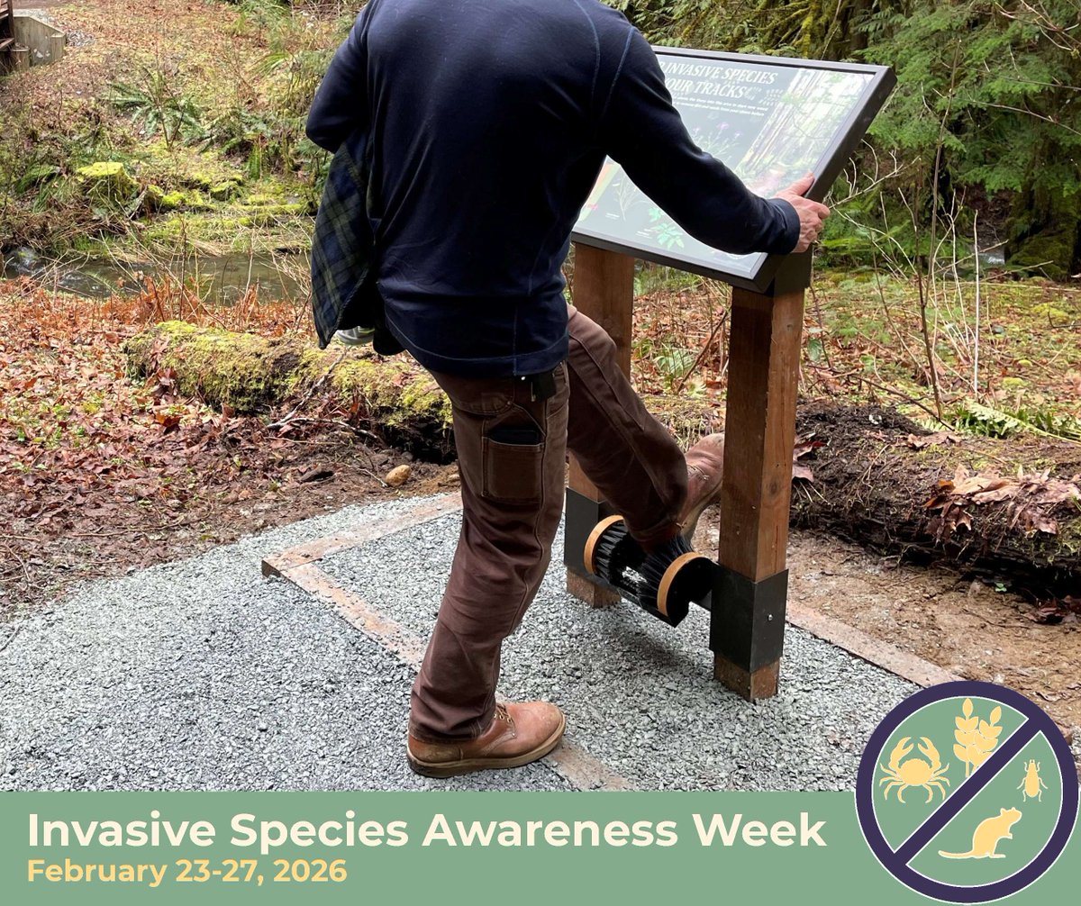 Whatcom County Public Works tweet media