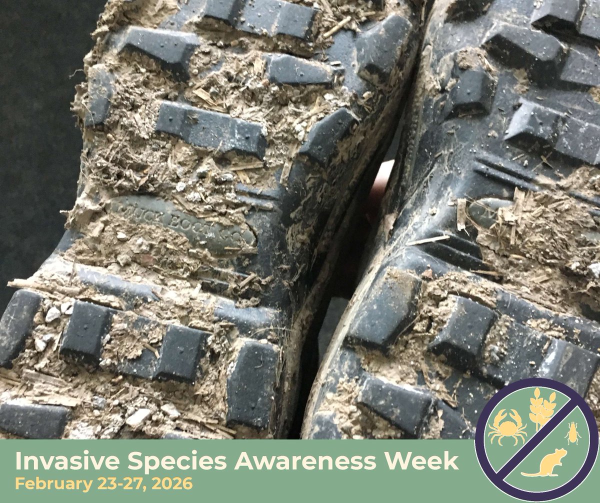 Whatcom County Public Works tweet media