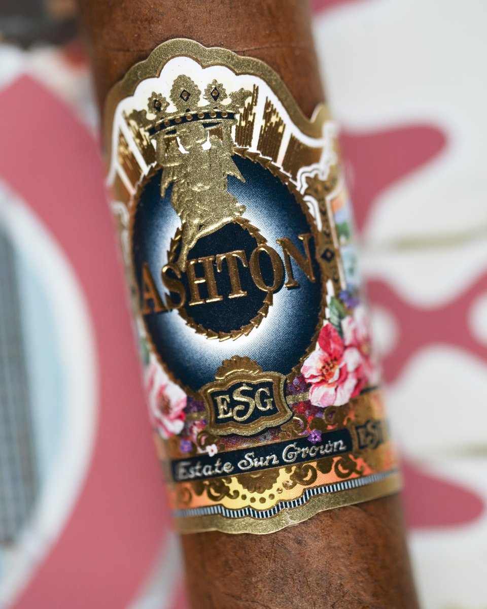 Ashtoncigar's tweet photo. Up close and personal with ESG ☀️ https://t.co/hMHQbm6Z1x