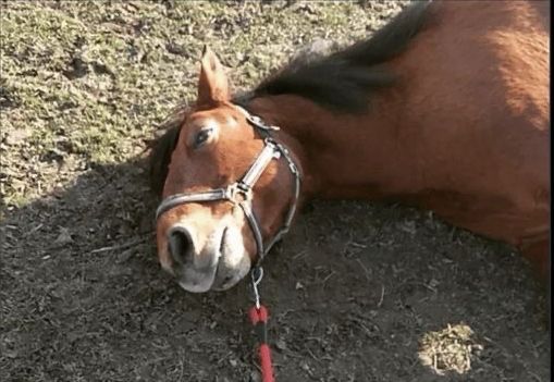 that thursday feeling