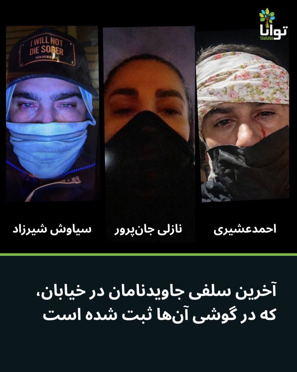 توانا Tavaana tweet media