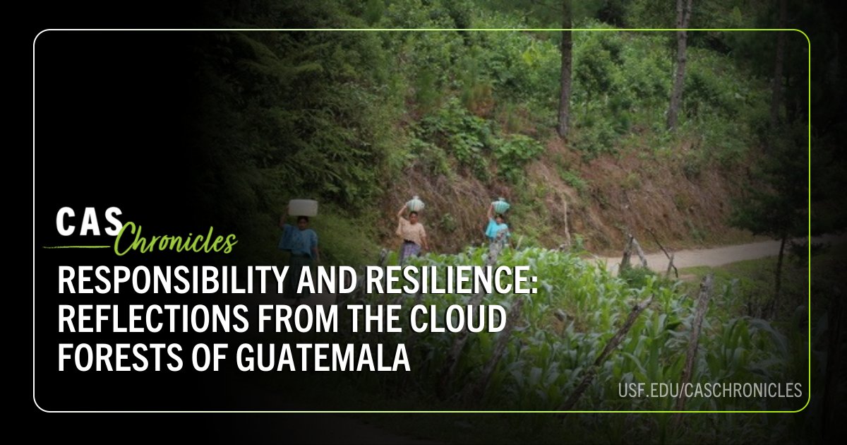 USF College of Arts and Sciences tweet media