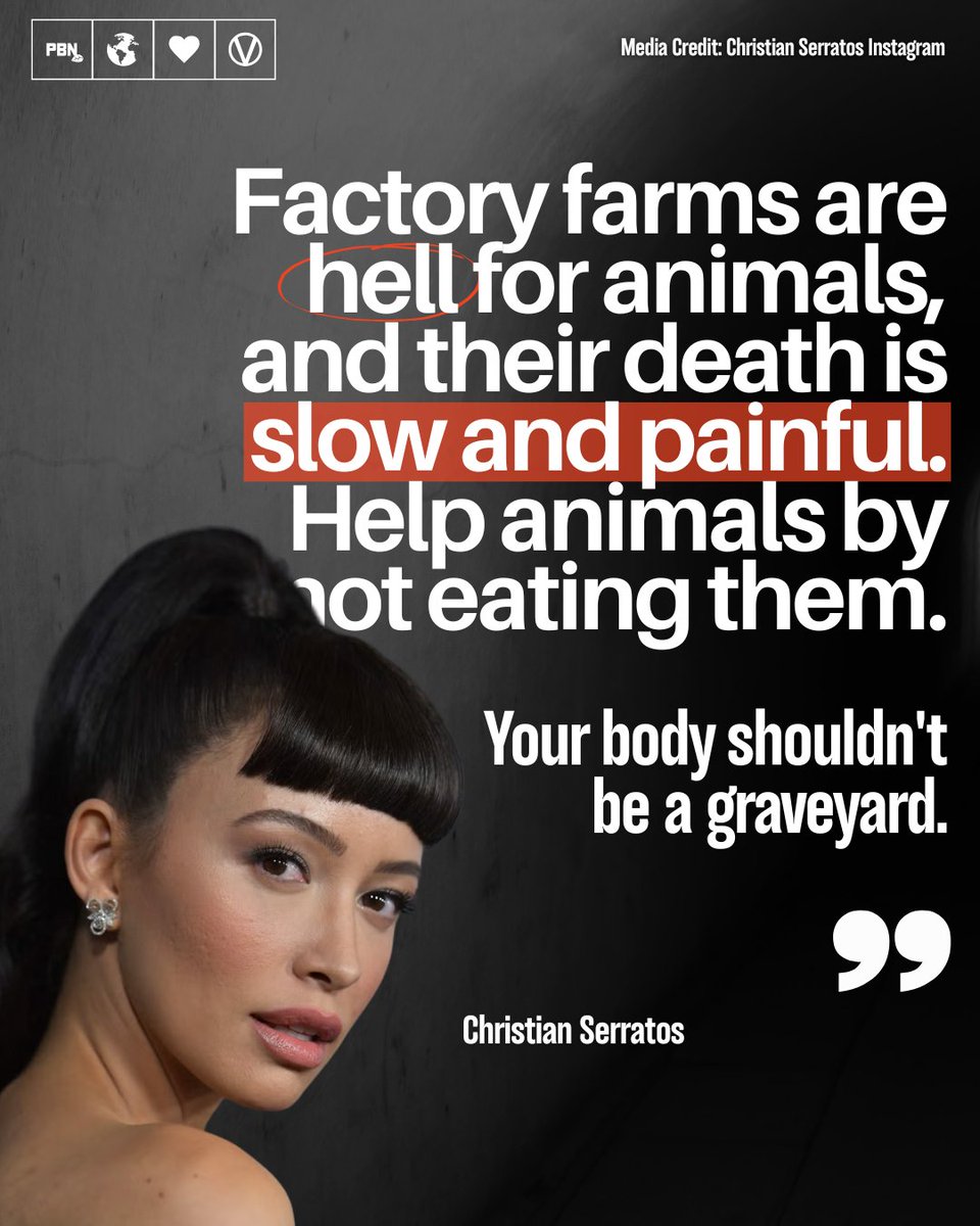 Star of The Walking Dead among other things, Christian Serratos has been vegetarian since the age of 10 and is now reportedly vegan.