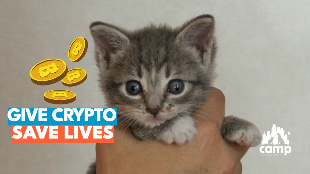 Community Animal Medicine Project ® tweet media