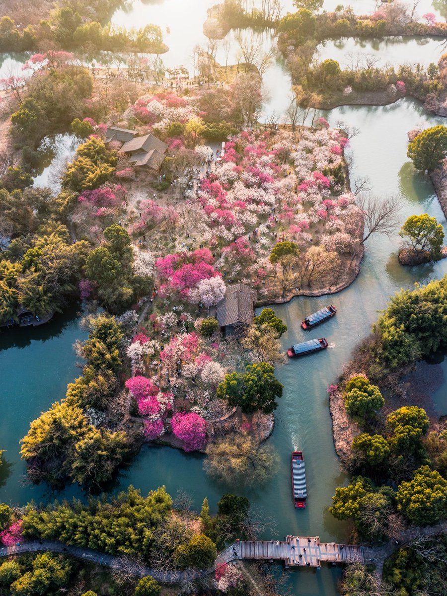 新质青年 tweet media