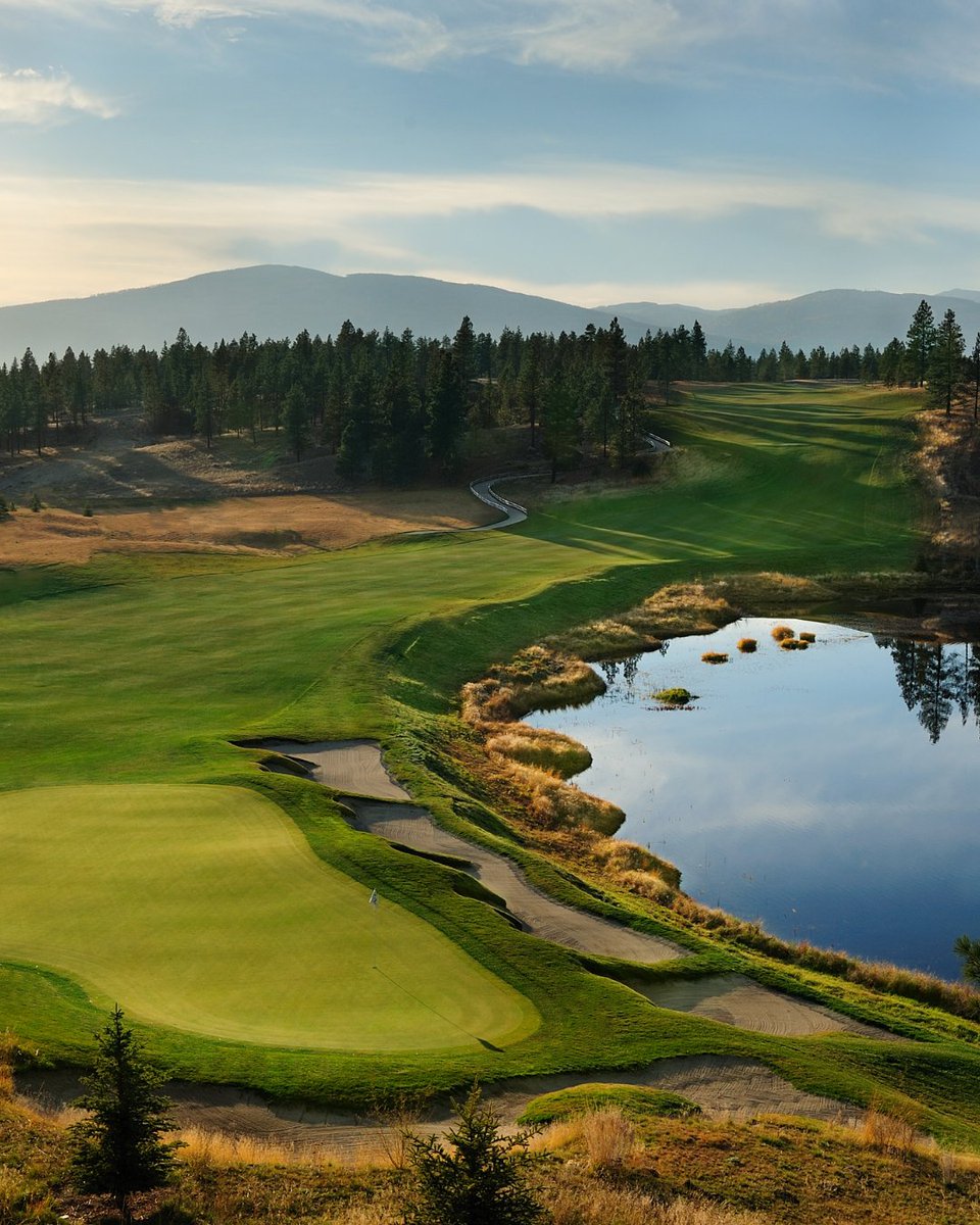 Faldo Design tweet media