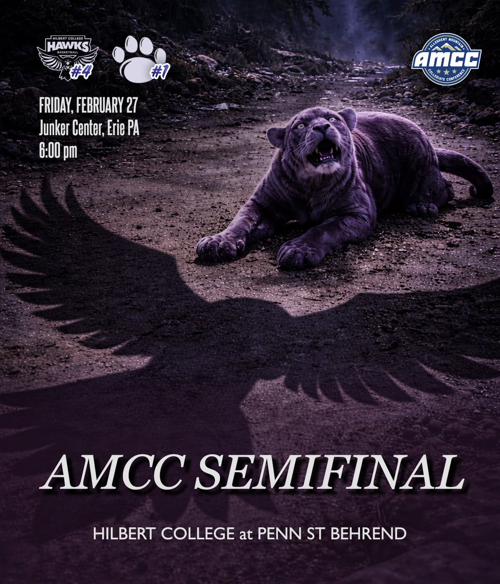 Hilbert College Men’s Basketball tweet media