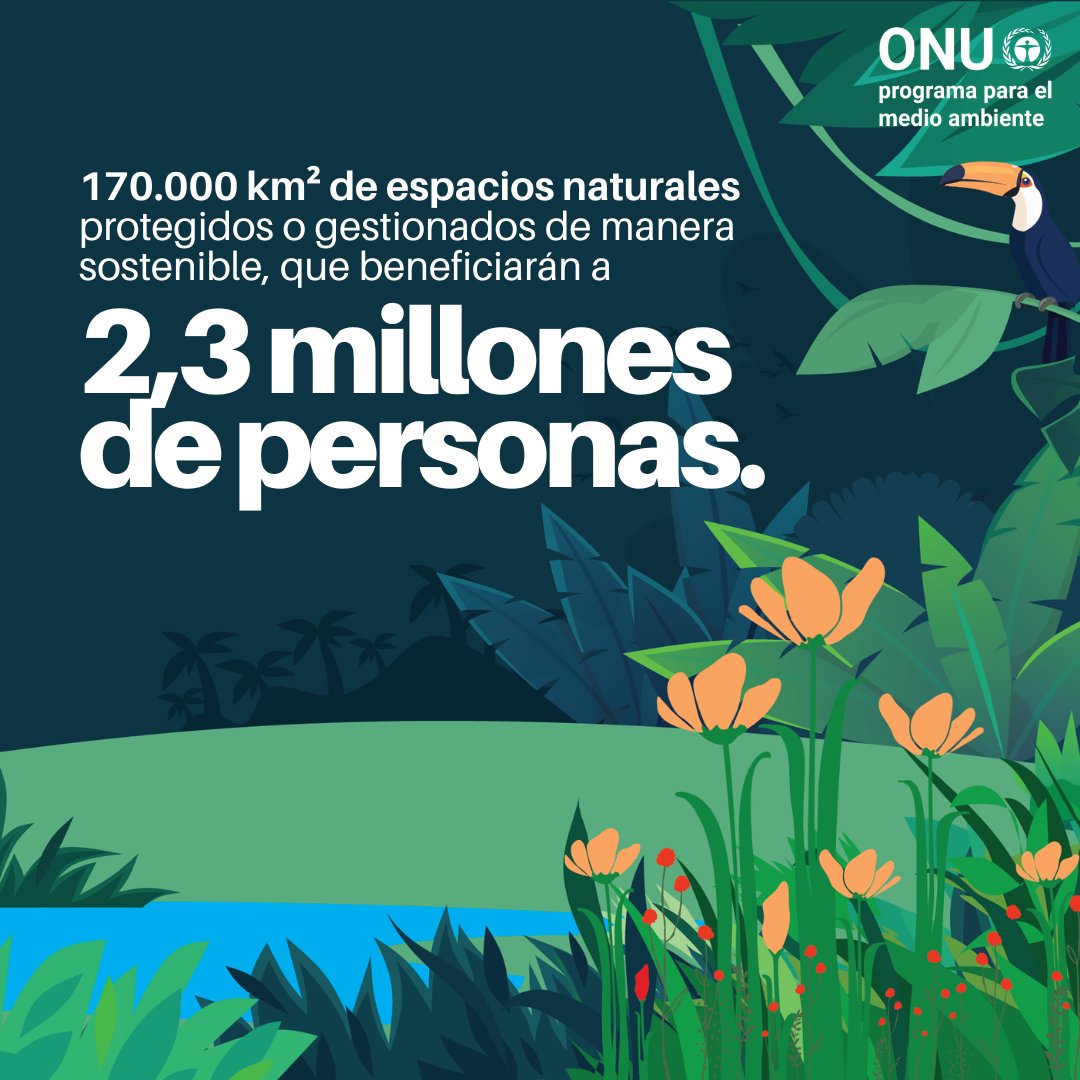 unep_espanol's tweet photo. Gran parte de la Tierra ha sido transformada por actividades humanas insostenibles: bosques talados, tierras degradadas y 1 millón de especies empujadas hacia la extinción.

Descubre cómo el PNUMA respondió a esta situación en nuestro Informe Anual 2025: https://t.co/qZ3vfMpmmb https://t.co/dxp8dKP35h