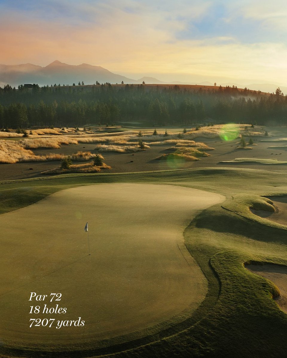 Faldo Design tweet media