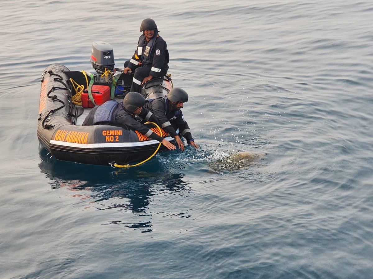 Def_PRO_Chennai's tweet image. #OpOlivia

#IndianCoastGuard Ship Rani Abbakka, acting swiftly, rescued an #OliveRidley turtle struggling in a ghost net. Post successful intervention, the 🐢 was released back into its natural habitat.

A testament to #ICG as guardians of #MarineEnvironment.

#VayamRakshamah