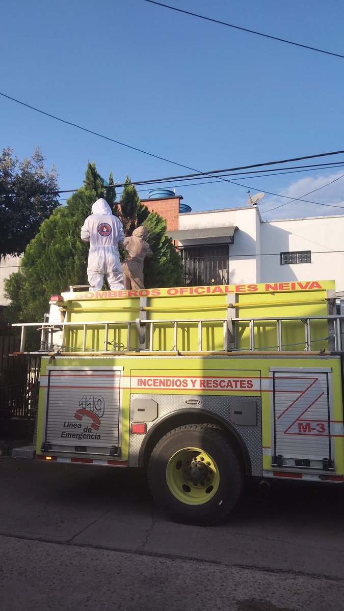 #Huila ¡Comprometidos con la seguridad y la biodiversidad! 🐝🚒
Se atendieron 2 emergencias:
1️⃣ B. Ventilador: Control de abejas con 4 unidades y ambulancia.
2️⃣ B. Puertas del Sol: Retiro de avispones con apoyo de Bomberos Oficiales.

Ambos fueron liberados en zona segura . 🧡