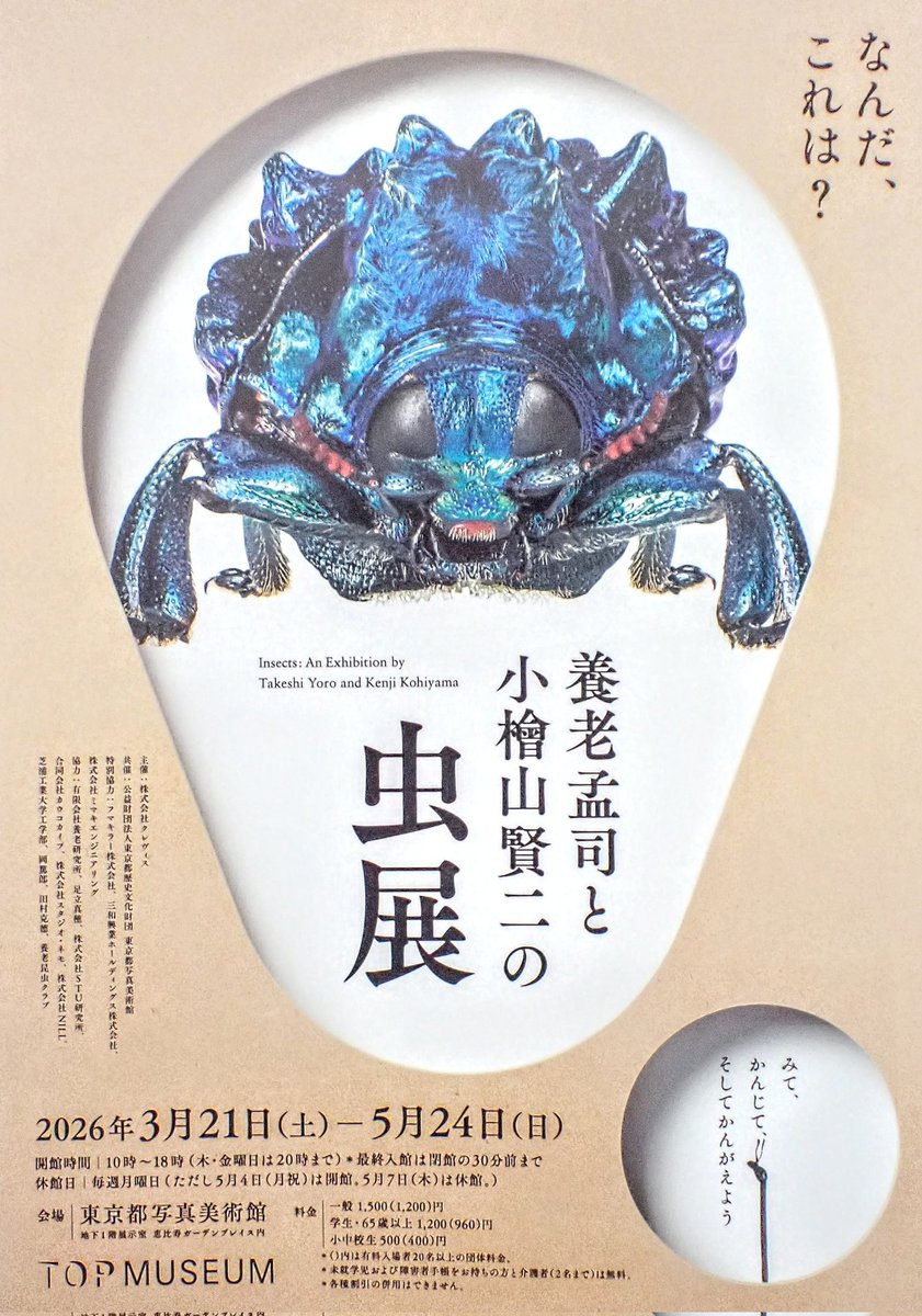 BeetleMounter's tweet photo. 来月21日から東京で「虫展」がはじまります。

2026年3月21日〜5月24日
会場：東京都写真美術館 (地下1階展示室　恵比寿ガーデンプレイス内)

私も少しお手伝いしたので、よろしくお願いします。甲虫多めです。 https://t.co/qs3a8VWqPo