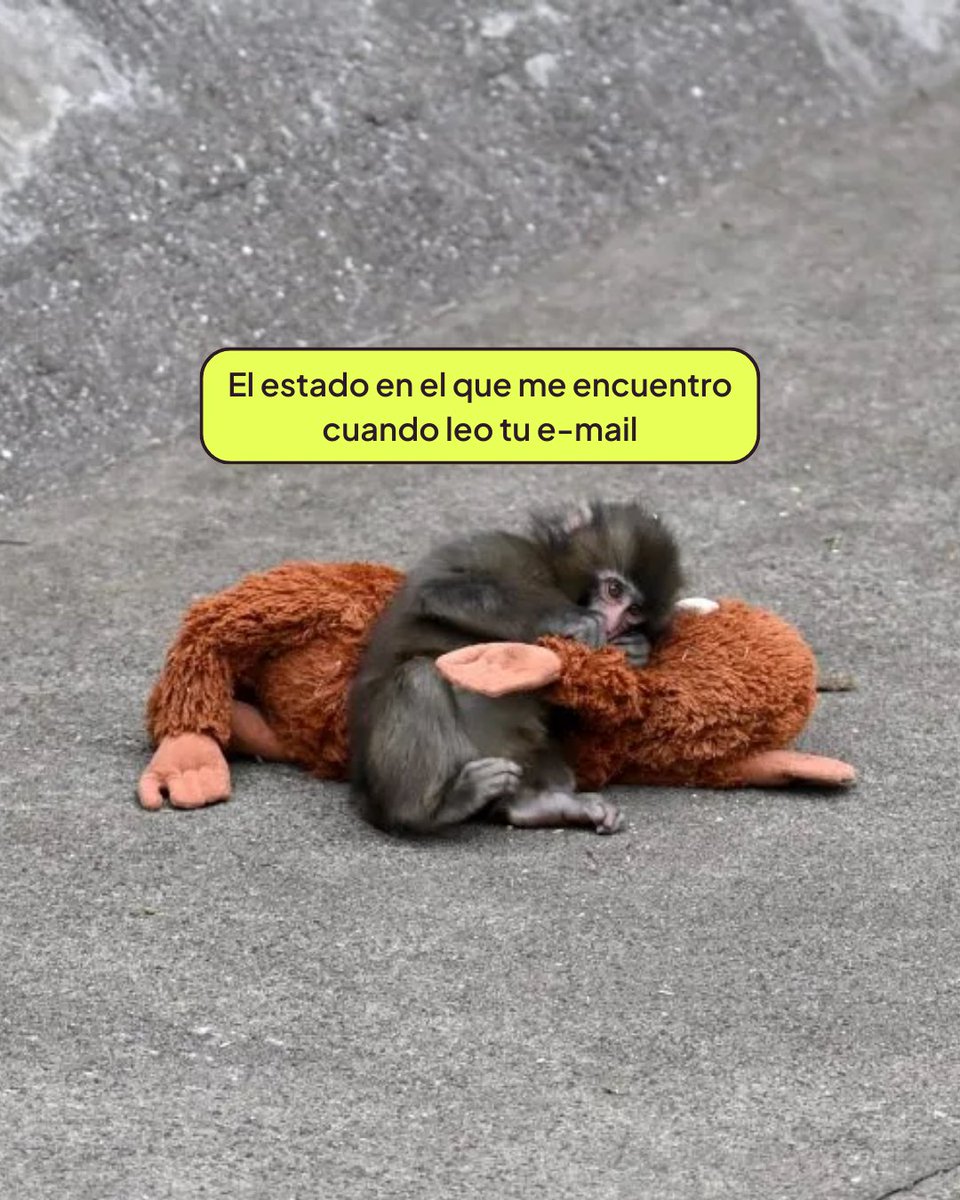 Metricool ES tweet media