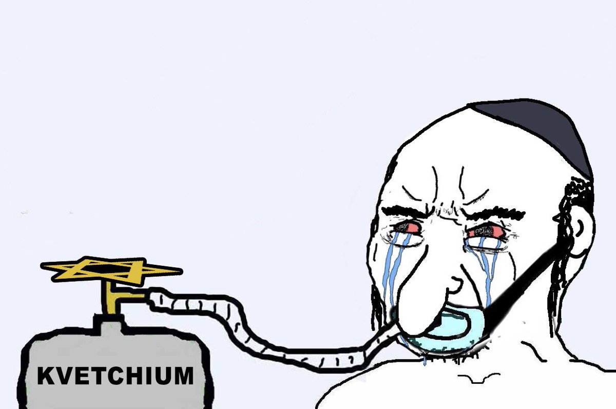 jews when you expose jewish fraud instead of somali fraud