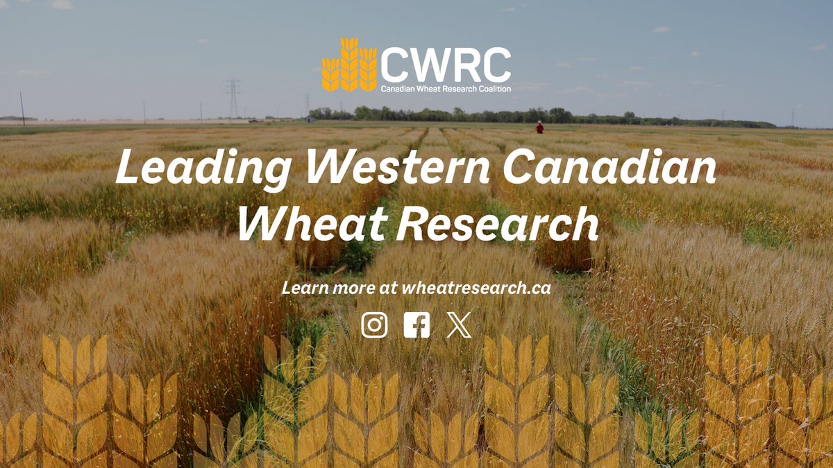 Canadian Wheat Research Coalition tweet media