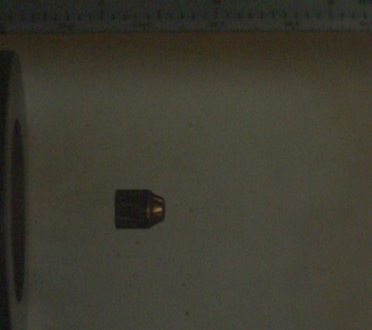 WundreLlama 🧭 tweet media