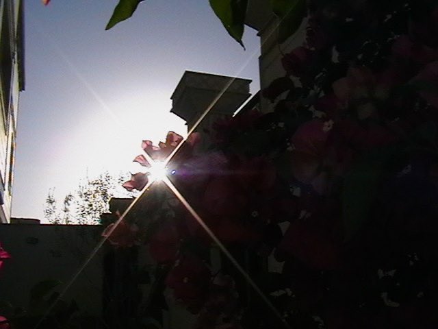 _iqa's tweet photo. صور صورتها غريبة https://t.co/65oNTJrsuz