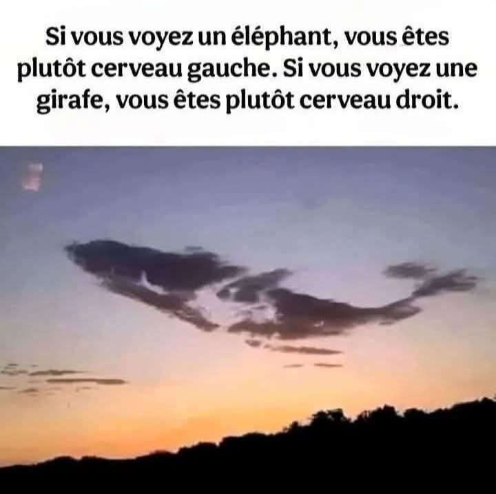 Sagesse Pure tweet media