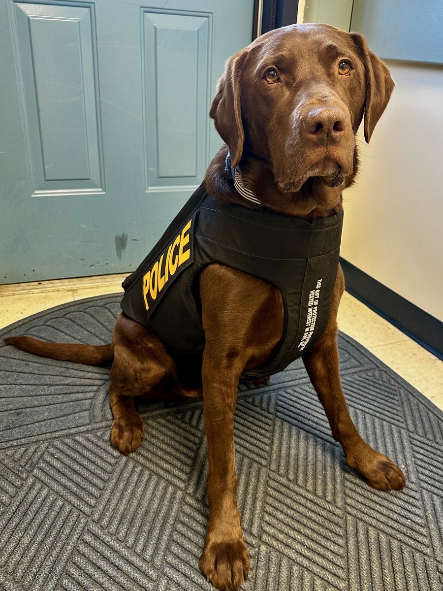 HamiltonMAPoliceDept tweet media