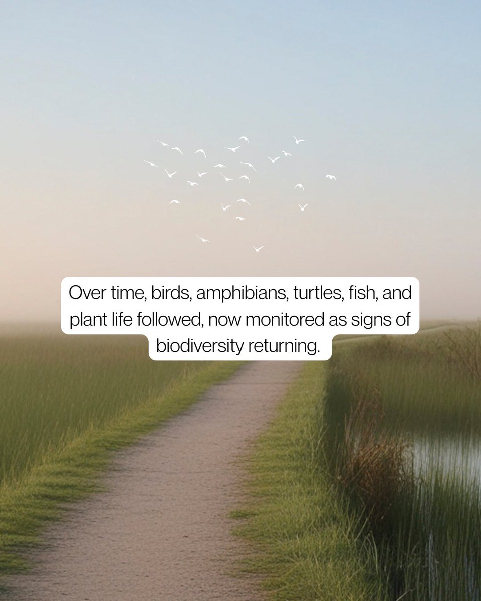 CBM Aggregates tweet media