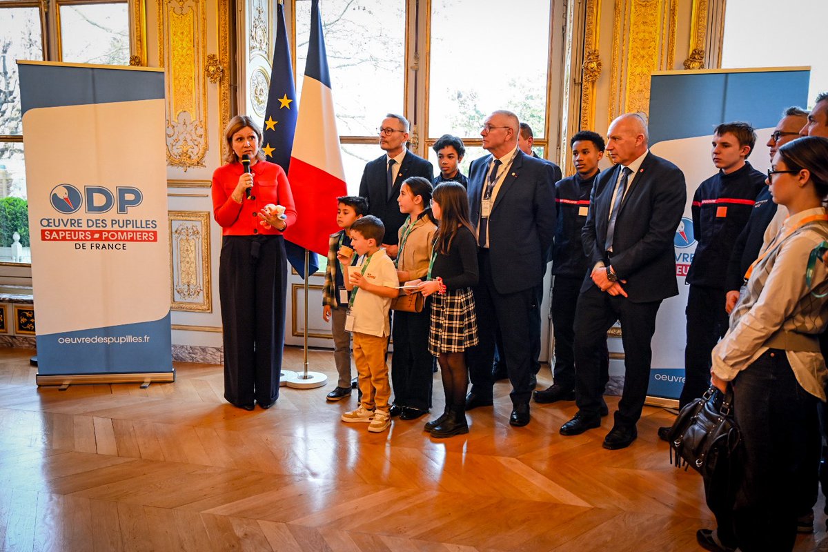 ODP Sapeurs-Pompiers de France tweet media