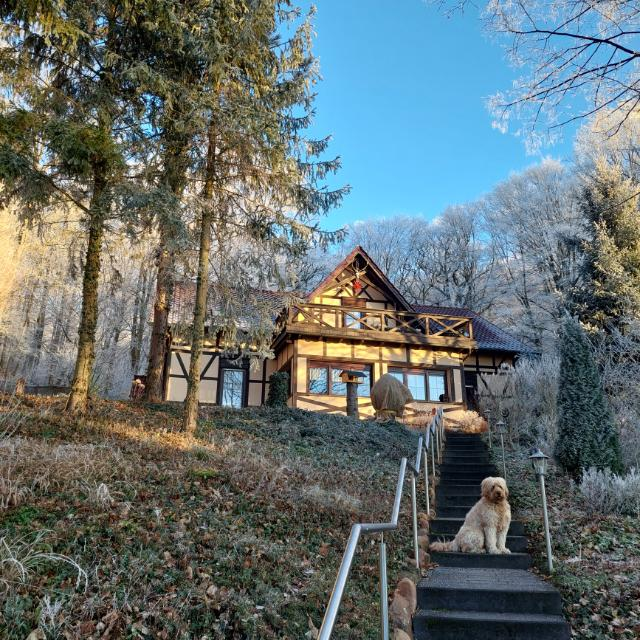 Florian Walther tweet media