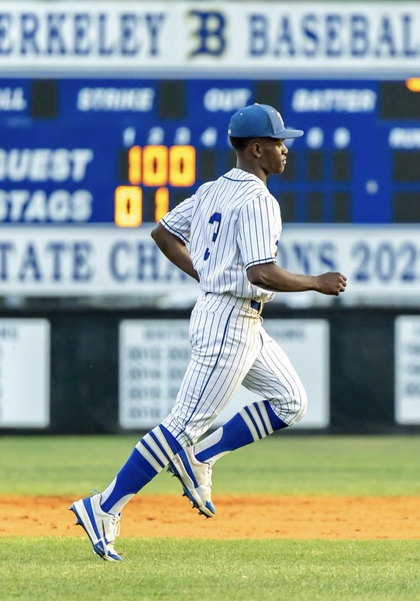 Palmetto Blacksmiths Baseball tweet media