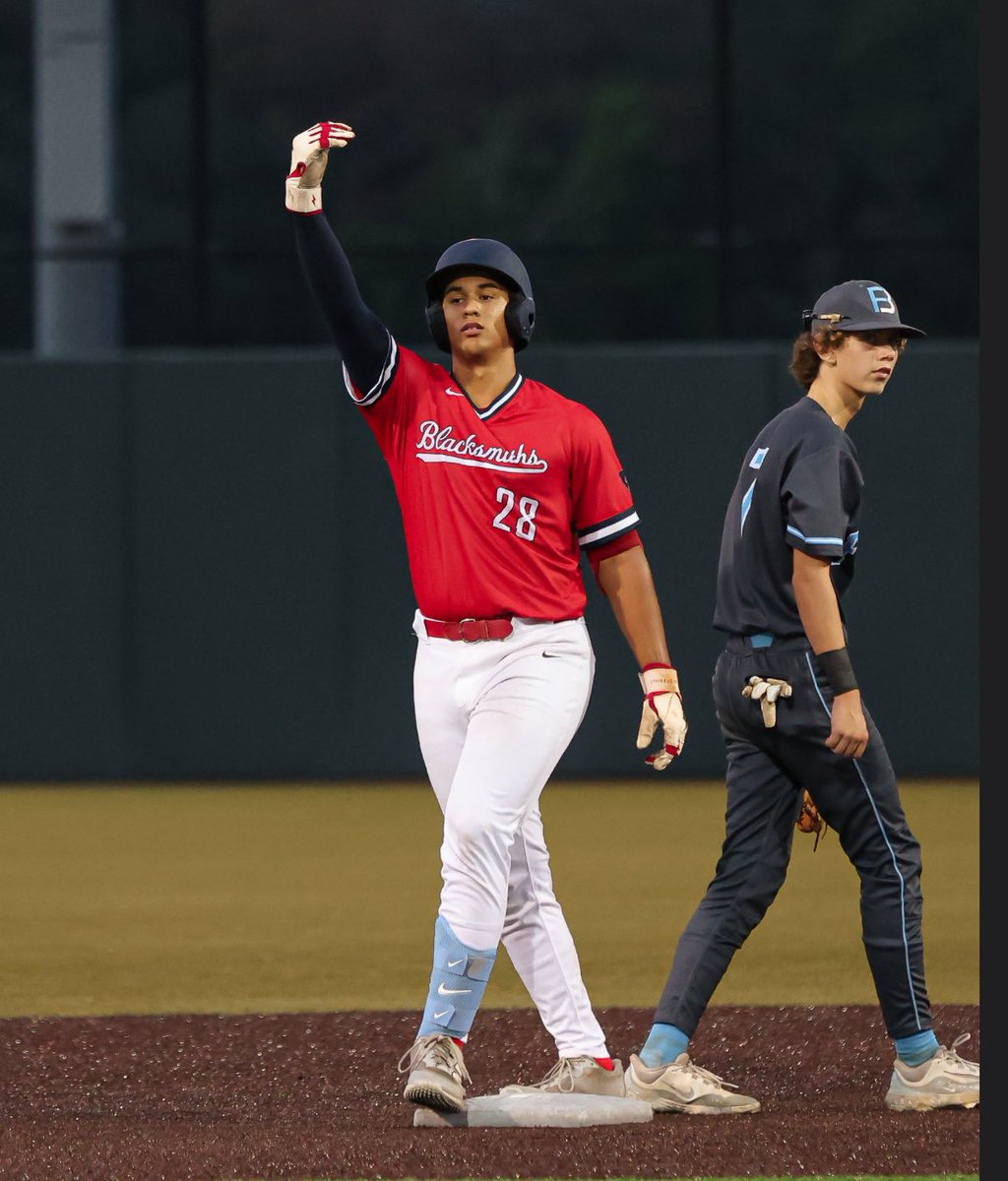 Palmetto Blacksmiths Baseball tweet media