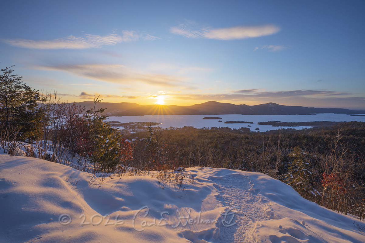 Carl Heilman II tweet media