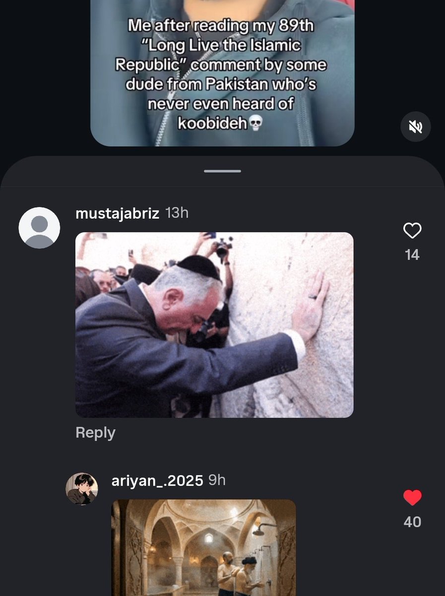 بالا به‌رز منوچهری² 🇮🇷 tweet media